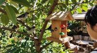 These 6 Bird Accessories Are On Sale Now At Target – Stock Up To Support Migrating Birds Before They Head South