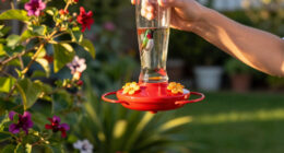 This $20 Garden Item Will Help Hummingbirds Survive The Great Migration
