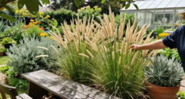 This Striking Prairie Native Is Quietly Replacing Mediterranean Plants – It's Hardier And Wildlife-Friendly