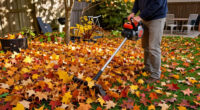 10 Best Gas Leaf Blowers for Fall Yard Work in 2026