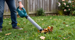 14 Best Electric Leaf Blowers in 2026