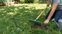 5 Healing Lawn Care Tasks To Revive And Repair Grass After Summer Heat – Get These Fixes Done Before September Ends
