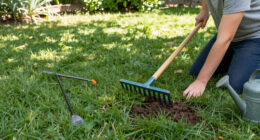 5 Healing Lawn Care Tasks To Revive And Repair Grass After Summer Heat – Get These Fixes Done Before September Ends