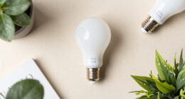 9 Bulbs To Plant In October For Striking Fuss-Free Flowers Come Spring – Even Beginner Gardeners Will Get Great Results