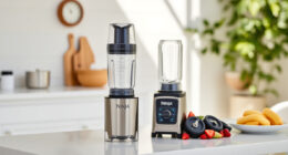 Beat the Heat with the Ninja Blast Portable Blender this Summer