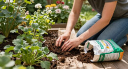 Deal Of The Week: Walmart Just Slashed The Price Of This Bestselling Potting Mix