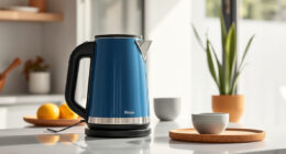 Enhance Your Summer Tea Time with Ninja KT200BL Electric Kettle Accessories