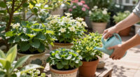 Must-Have Plants That Will Be Twice The Price Come Spring – Add Them To Your Yard Now And Save Yourself A Fortune