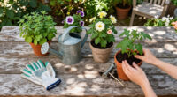 Outdoor Garden Essentials Checklist 2026