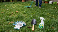 Why Your Lawn Is Full Of Crabgrass And How To Stop It From Taking Over The Whole Yard