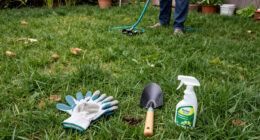 Why Your Lawn Is Full Of Crabgrass And How To Stop It From Taking Over The Whole Yard