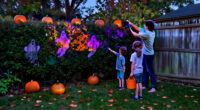 13 Best Garden Halloween Projector Lights for 2027
