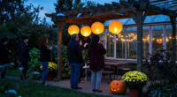 15 Best Garden Halloween Party Decorations for 2027
