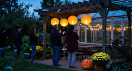 15 Best Garden Halloween Party Decorations for 2027