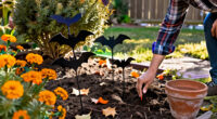 15 Best Halloween Garden Stakes for Outdoor Displays in 2027