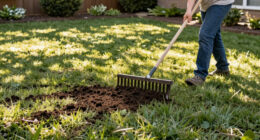 I Just Found The Easiest Way To Spread Topsoil On A Lawn – It’s A Simple, Time-saving Tool