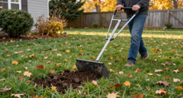 The Gardening Tool That Transforms Lawns In October, Fast, If You Want Lush Grass Next Year