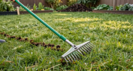 This $30 Lawn Tool Makes Dethatching So Much Easier – And It's Handy For Several Other Garden Jobs, Too