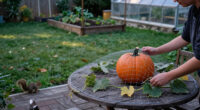 We Tried 4 Tricks To Keep Squirrels From Eating Pumpkins—One Was The Clear Winner