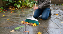 Wet Leaves Can Ruin A Patio – Experts Say These Are The Biggest Cosmetic And Safety Risks